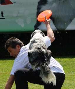 disc-dog-2